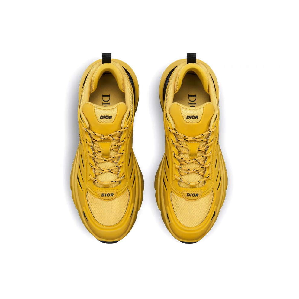 Dior B44 Blade Sneaker
